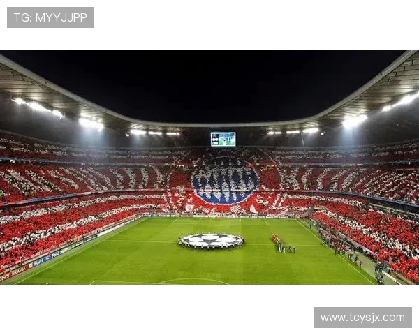 德甲球队上座人数统计及主场氛围分析