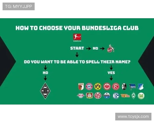 德甲球队科普视频大全推荐及学习价值解析